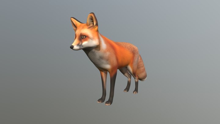 Fox Realistic