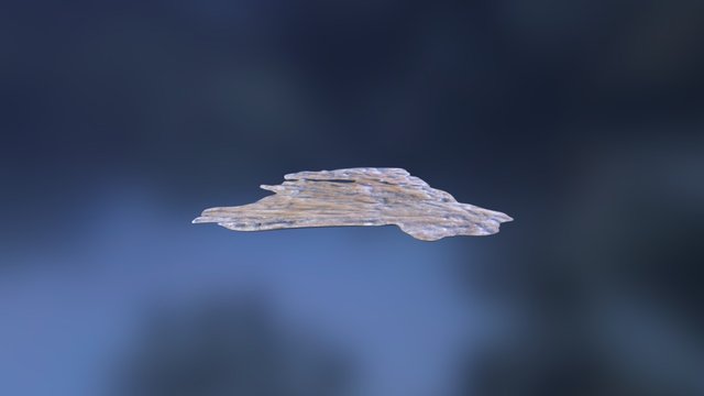 Leedsichthys Bone X2 3D Model