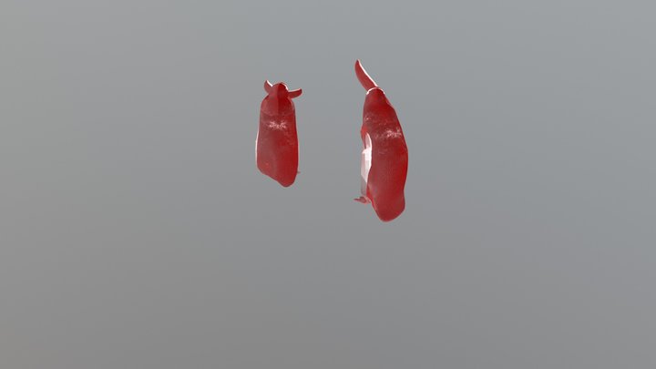 penguin_model 3D Model