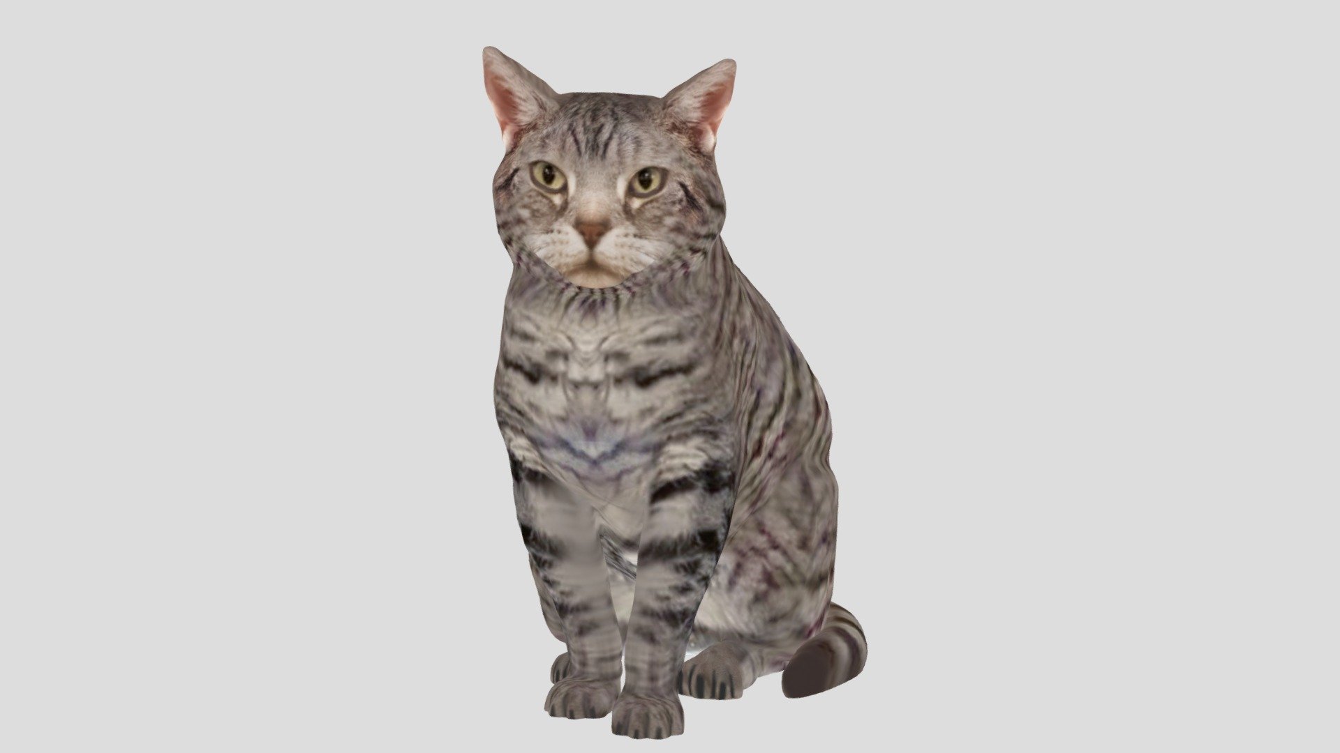 2012001-01- Mila- English Shorthair Cat 3 - 3D model by Arty Lobster ...