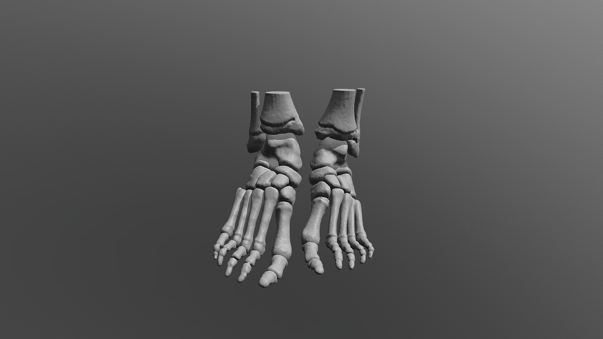 Foot - Download Free 3D model by valchanov [53cc924] - Sketchfab