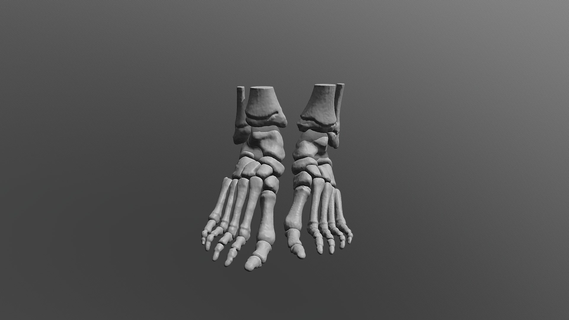Foot