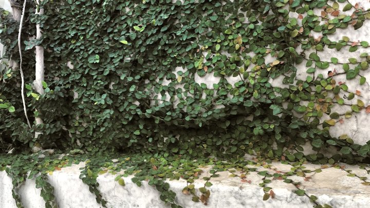 Wall 3D Model
