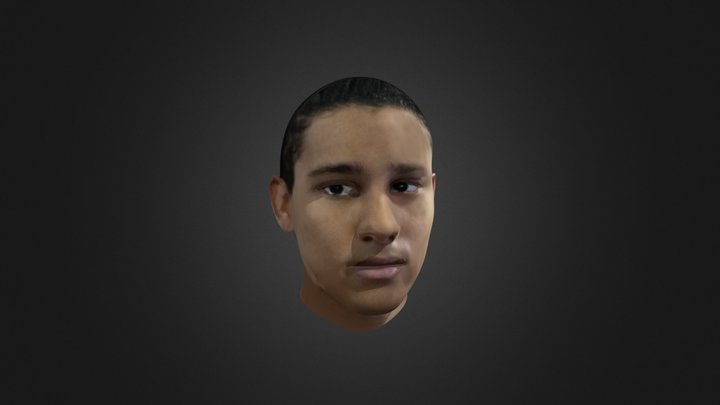 Wally West head 3D model