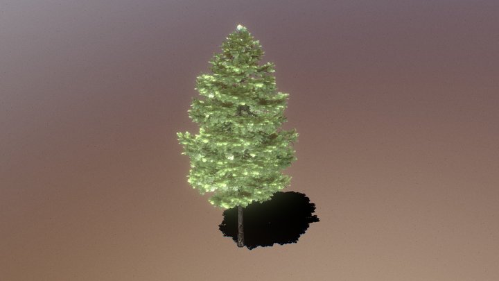 Low Quality Tree 3D Model