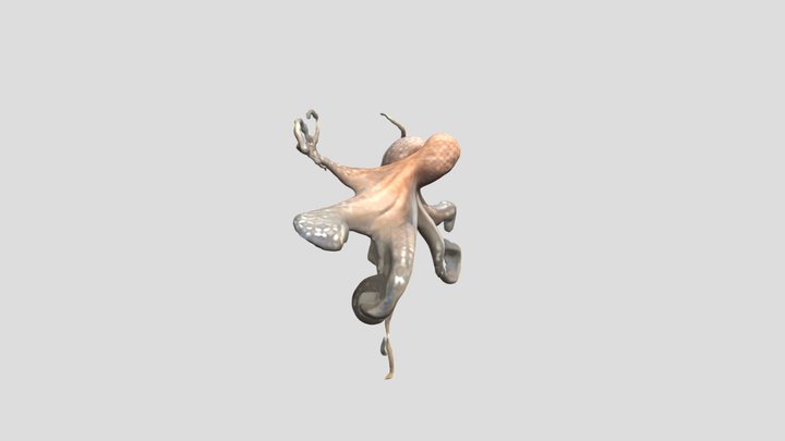 Octopus IA Gener 3D Model