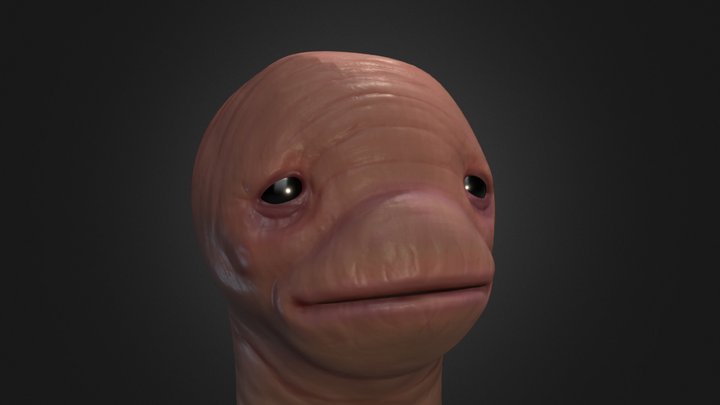 Meat 3D Model