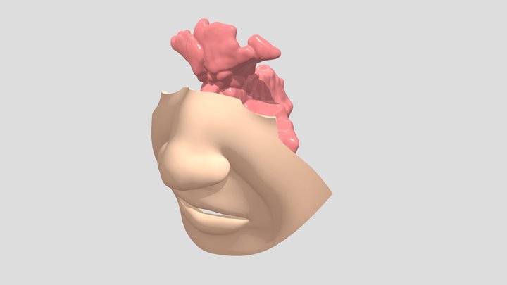 Paranasal sinuses simulator 3D Model