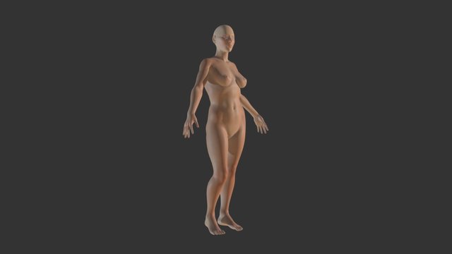 Human Female Posed 3D Model