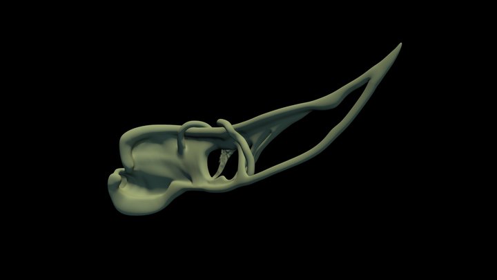 Goblin ear 3D Model