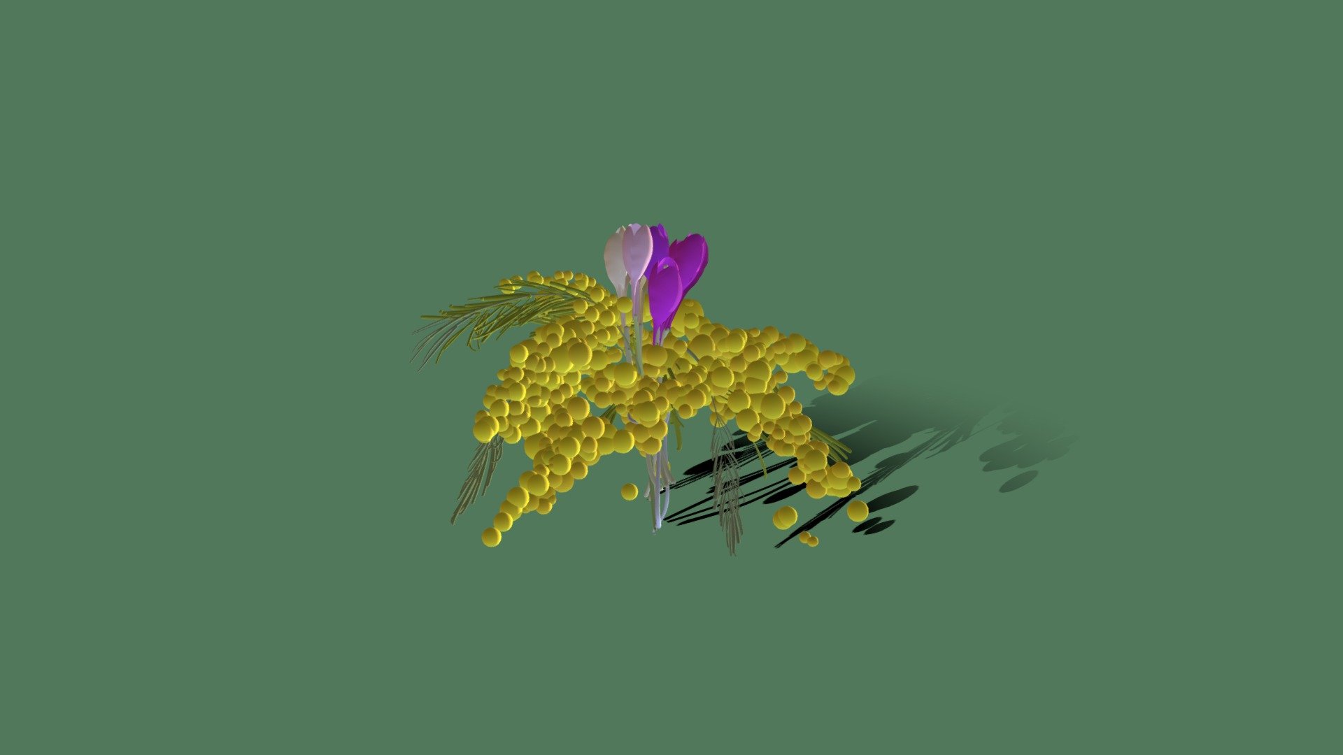 Spring Flowers2019