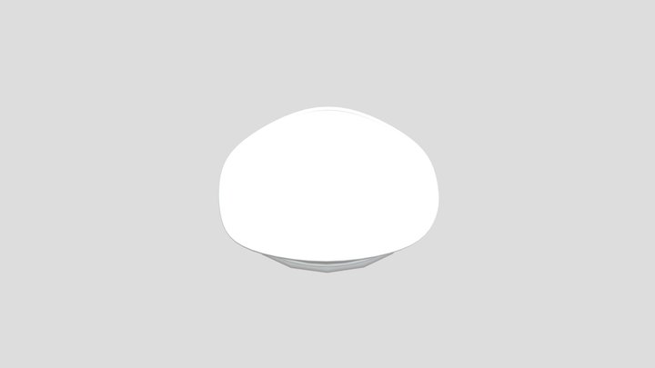 Pioneer Serkan's Hat 3D Model