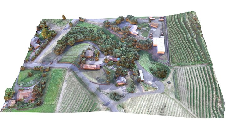 Vineyard 3D Model