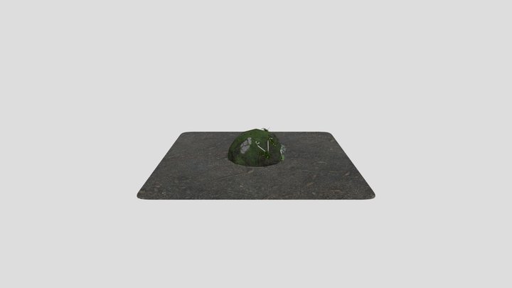 dome 3D Model