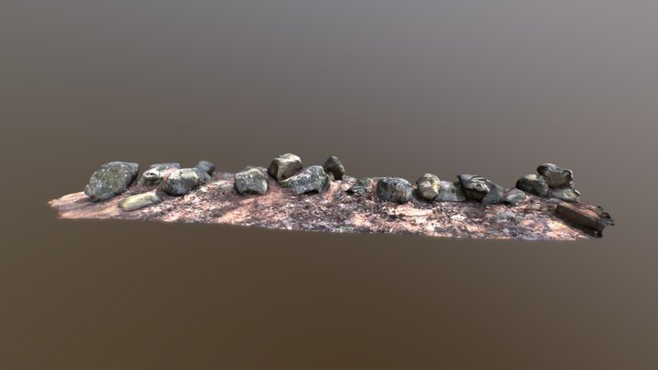 Small Rock Wall- Lidar Scan 3D Model