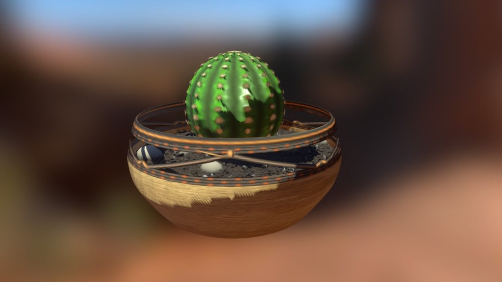 Small Cactus in a Vase