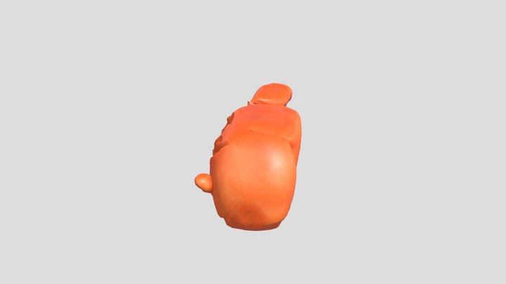 nemo – Modello 3D gratuito STL