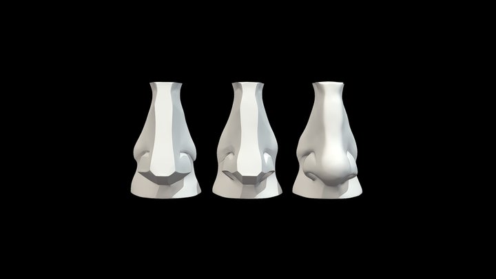 Planes of The Nose (David's Nose) 3D Model