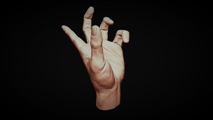 Hand [wip] 3D Model