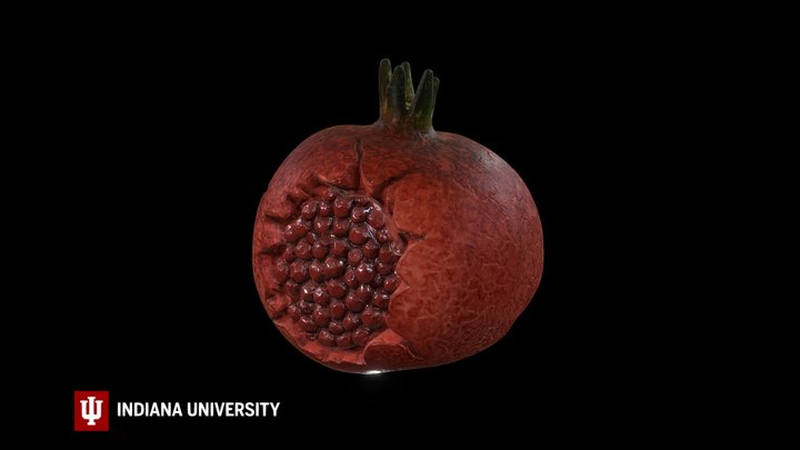 Pomegranate
