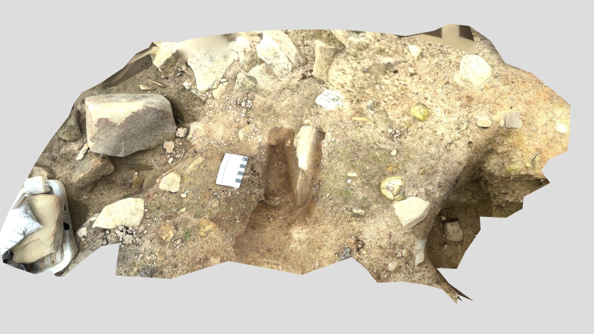 ARD Feature 5 - Download Free 3D model by csdrabble [53f9ca8] - Sketchfab