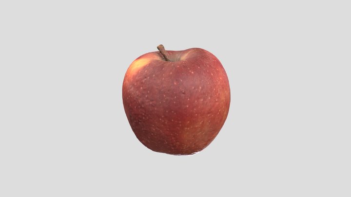 תפוח- מקטב מוצלב- אביב טישלר- סמסטר ב 3D Model