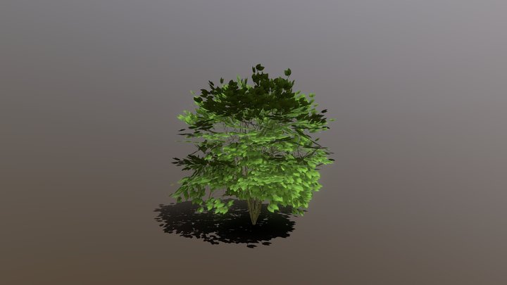 Green Bush 3D Model