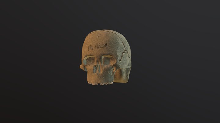 Old and Broken Skull - Crânio antigo danificado 3D Model