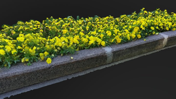 Gardening. Park. Landscape. 7 a
