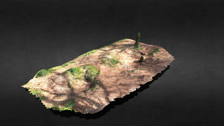 Woodland 3D Model
