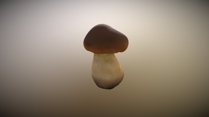 Hand painted Penny Bun mushroom 3D Model