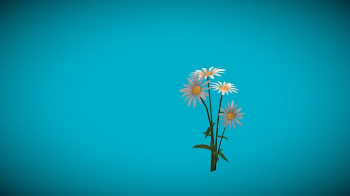 Stylized Daisy 3D Model