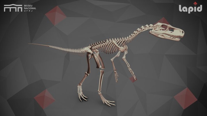 Staurikosaurus pricei skeletal reconstruction 3D Model