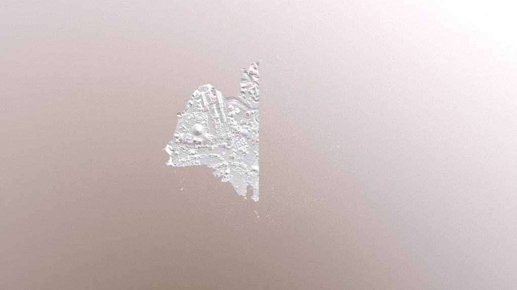 Scene Dense Mesh Texture Reduced 1