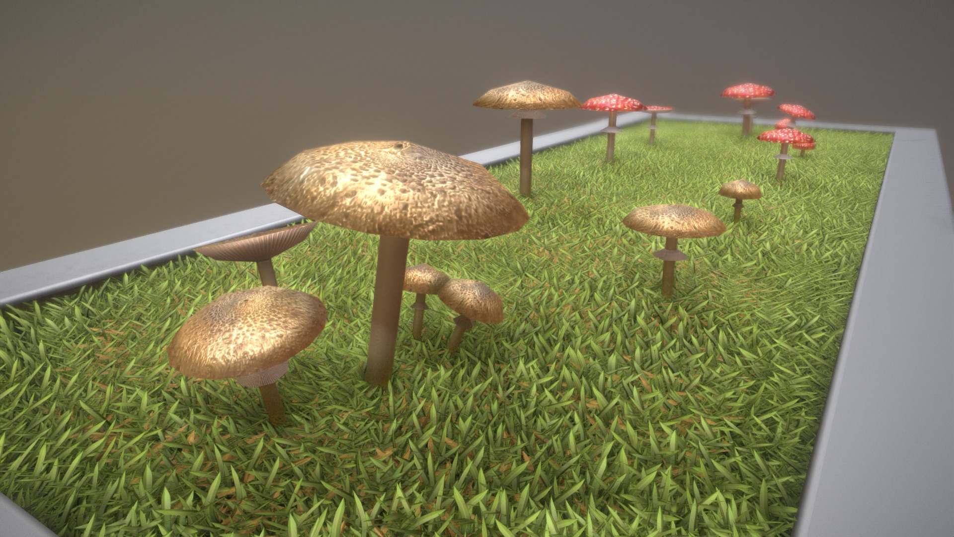 3D model Pilze – Fliegenpilz und Parasolpilz - This is a 3D model of the Pilze - Fliegenpilz und Parasolpilz. The 3D model is about a group of wooden tables.