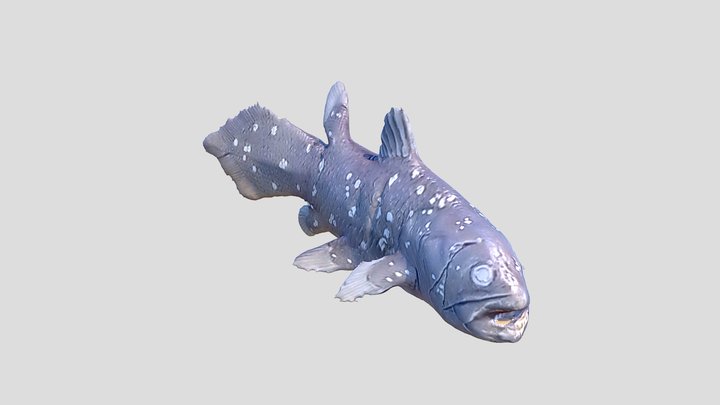 Coelacanth 3D models - Sketchfab