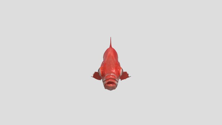 ruby fish