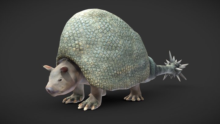 Mighty the Armadillo - 3D model by Spex130 (@spex130) [f4a7eb7]