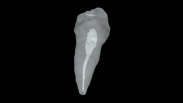 28 Beginner 3D Model