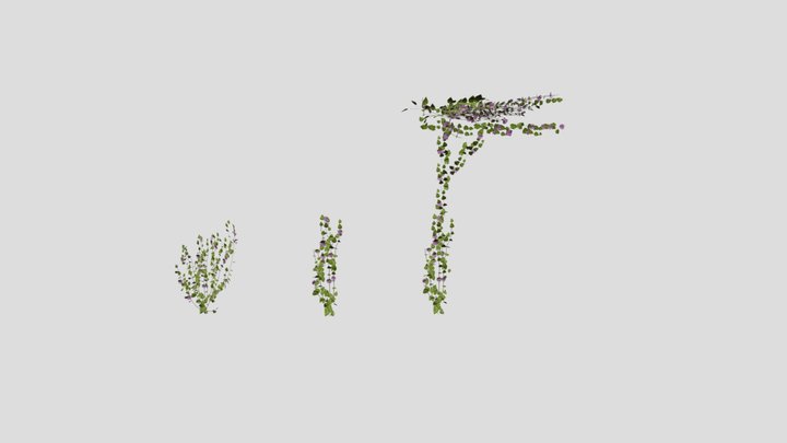 pink flower tree-M 3D Model