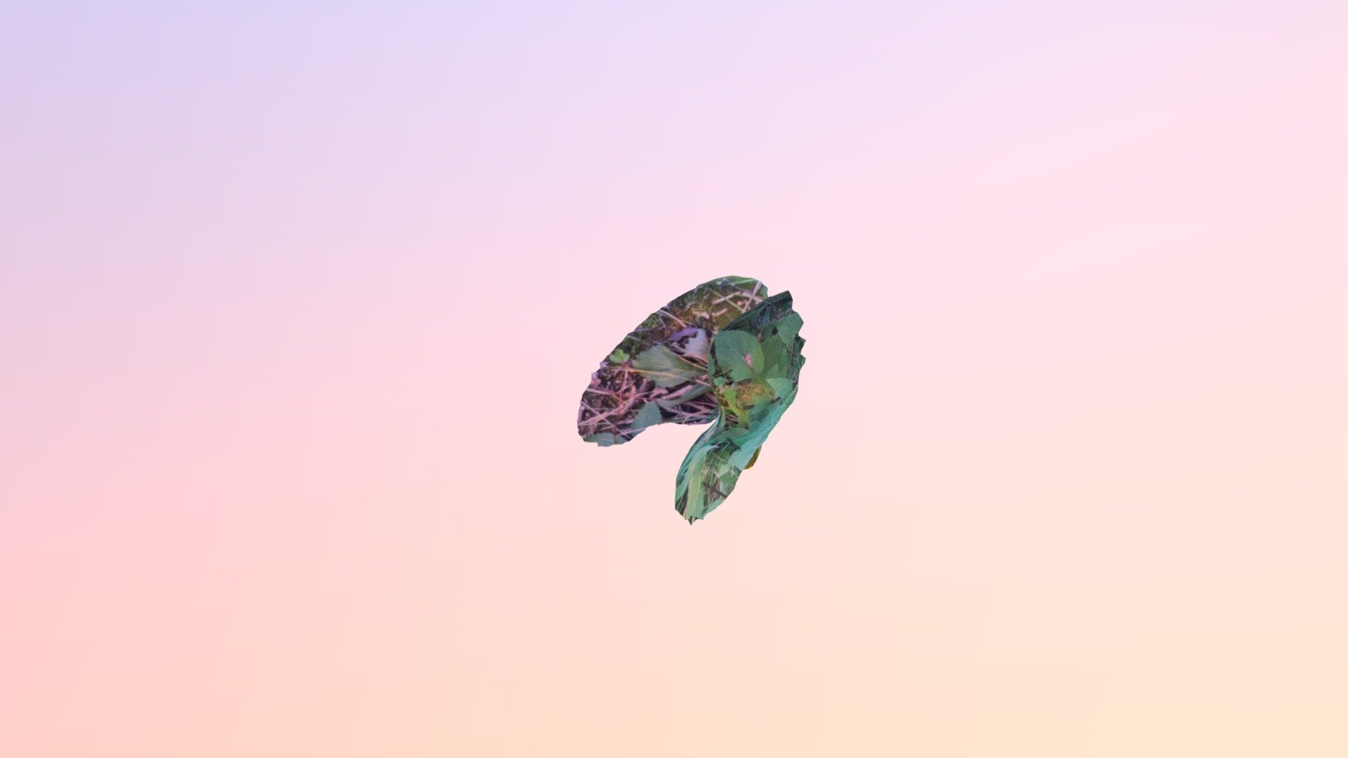 prairie_1
