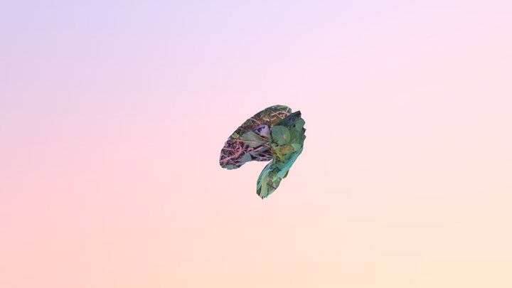 prairie_1 3D Model