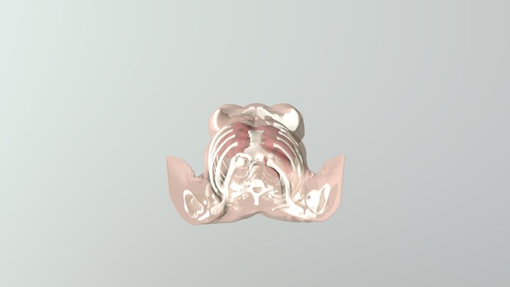 Scene Trocard Initiale 3D Model