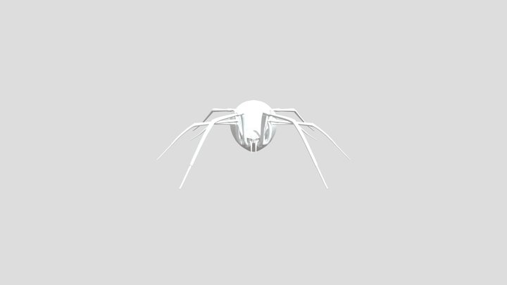 Black Widow spider 3D Model
