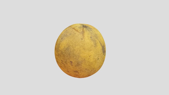 Quabuoi 3D Model