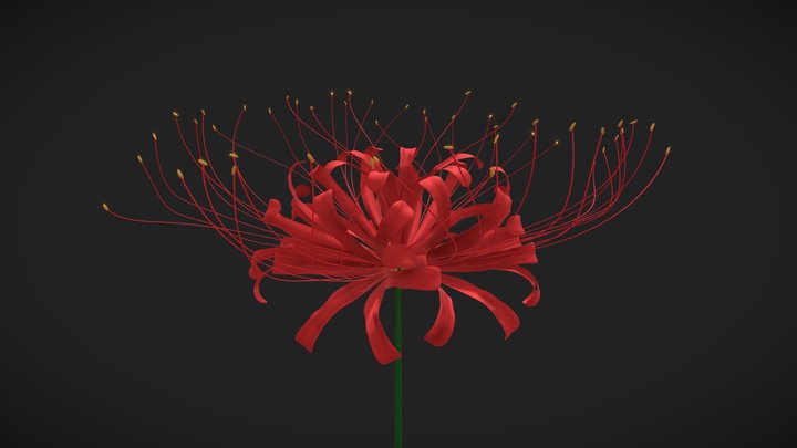 Red Spider Lily (ヒガンバナ) Higanbana 3D Model