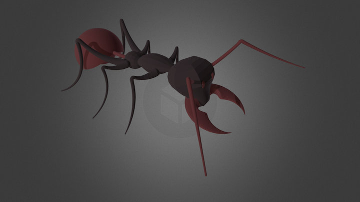 AutoCad 3D: Hormiga 3D Model