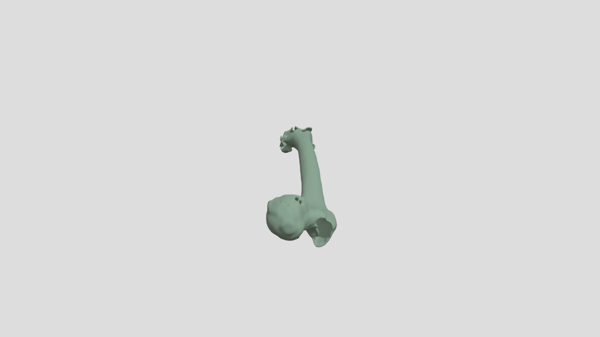 leg bone connected to the...