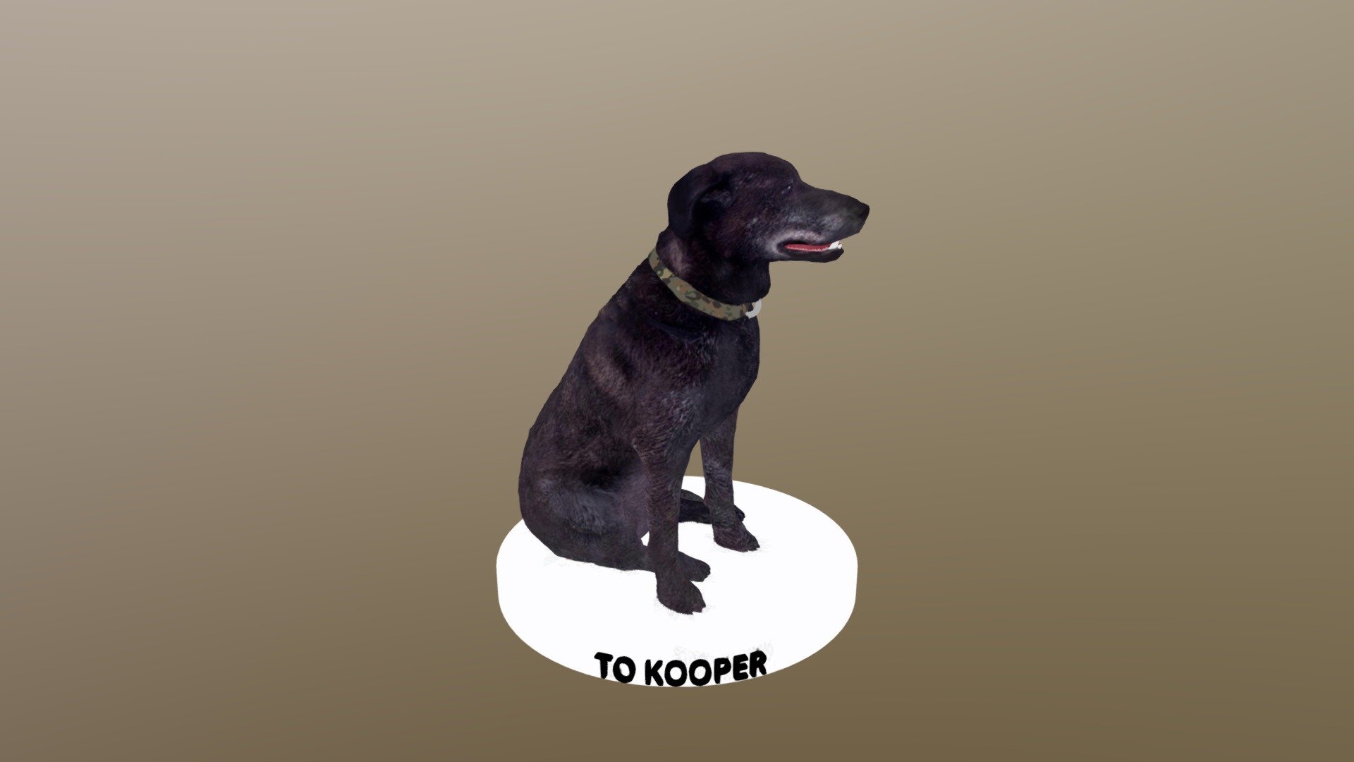 Kooper - 3D model by Holodeck 3D Studios (@Holodeck3DStudios) [54285da ...
