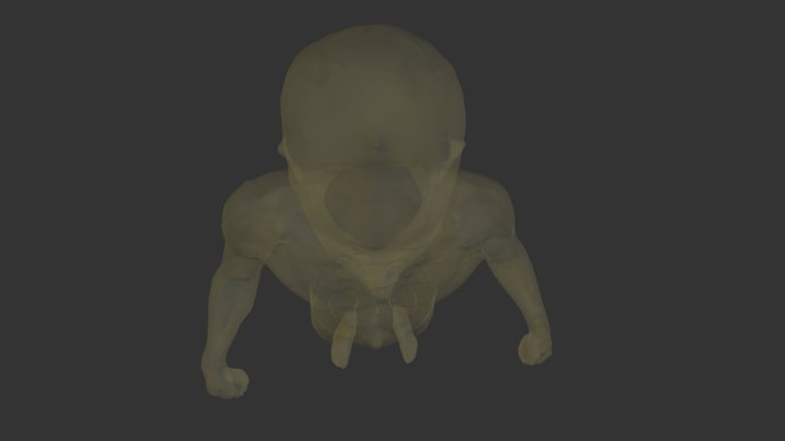 Limbo 3D Model